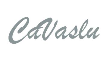 Imagen de CaVaslu
