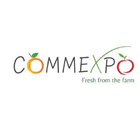 Imagen de COMMEXPO