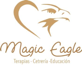 Imagen de Magic Eagle Cetrería Terapias Educación ambiental