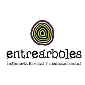 Imagen de entreárboles ingeniería forestal y medioambiental