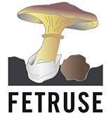Imagen de FETRUSE