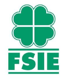 Imagen de FSIE