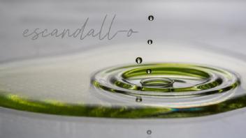 Imagen de escandall-o