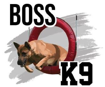 Imagen de BOSS K9