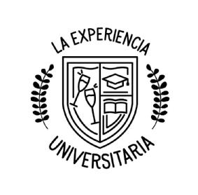 Imagen de LA EXPERIENCIA UNIVERSITARIA