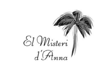 Imagen de EL MISTERI D'ANNA
