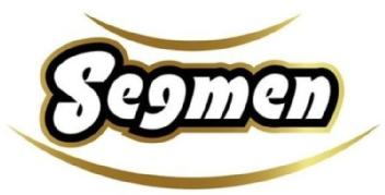 Imagen de SEGMEN