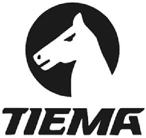Imagen de TIEMA