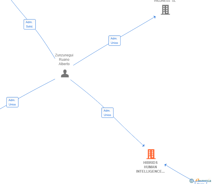 Vinculaciones societarias de HIBRIDS HUMAN INTELLIGENCE PARTNERS ESPAÑA SL