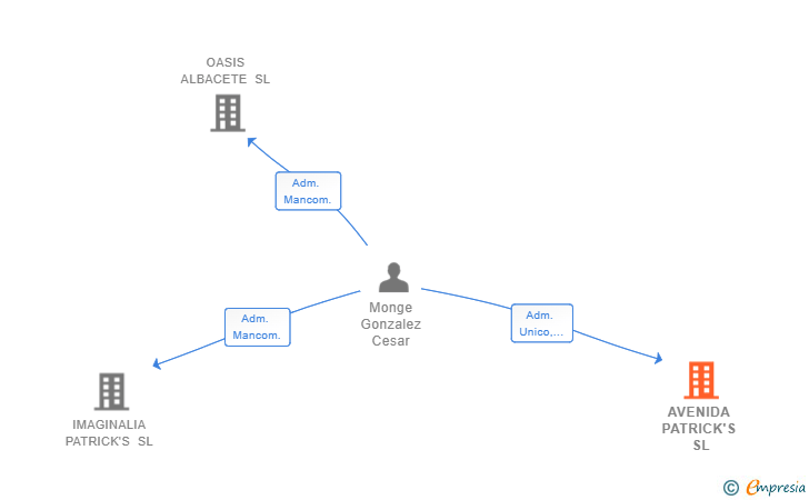 Vinculaciones societarias de AVENIDA PATRICK'S SL