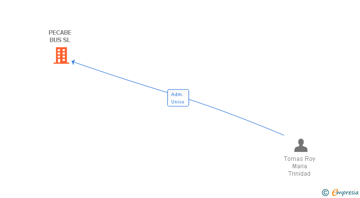 Vinculaciones societarias de PECABE BUS SL