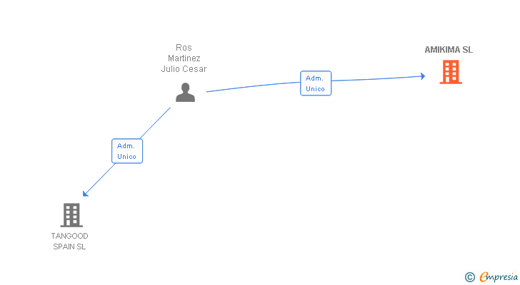 Vinculaciones societarias de AMIKIMA SL