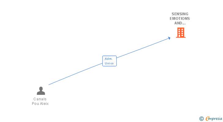 Vinculaciones societarias de SENSING EMOTIONS AND KNOWLEDGE GROUP SL