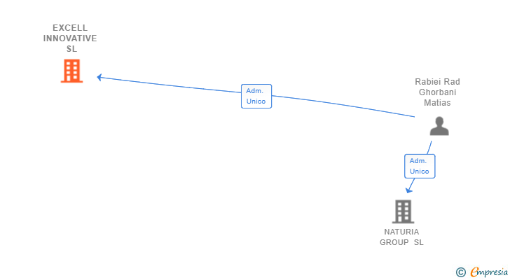 Vinculaciones societarias de EXCELL INNOVATIVE SL