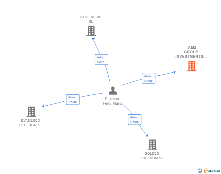 Vinculaciones societarias de TAM2 GROUP INVESTMENTS SL