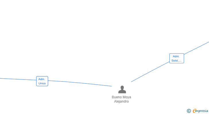 Vinculaciones societarias de NEW HORIZON ECOMMERCE SL
