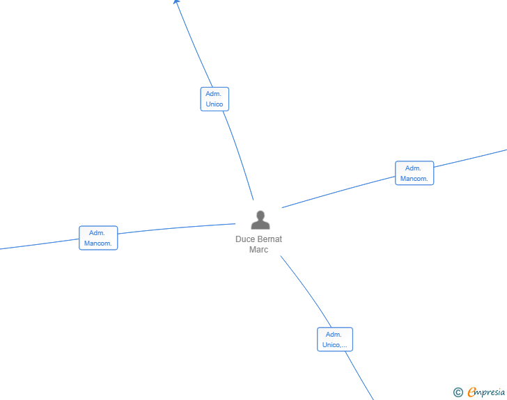Vinculaciones societarias de RENTALS DUVEL SL