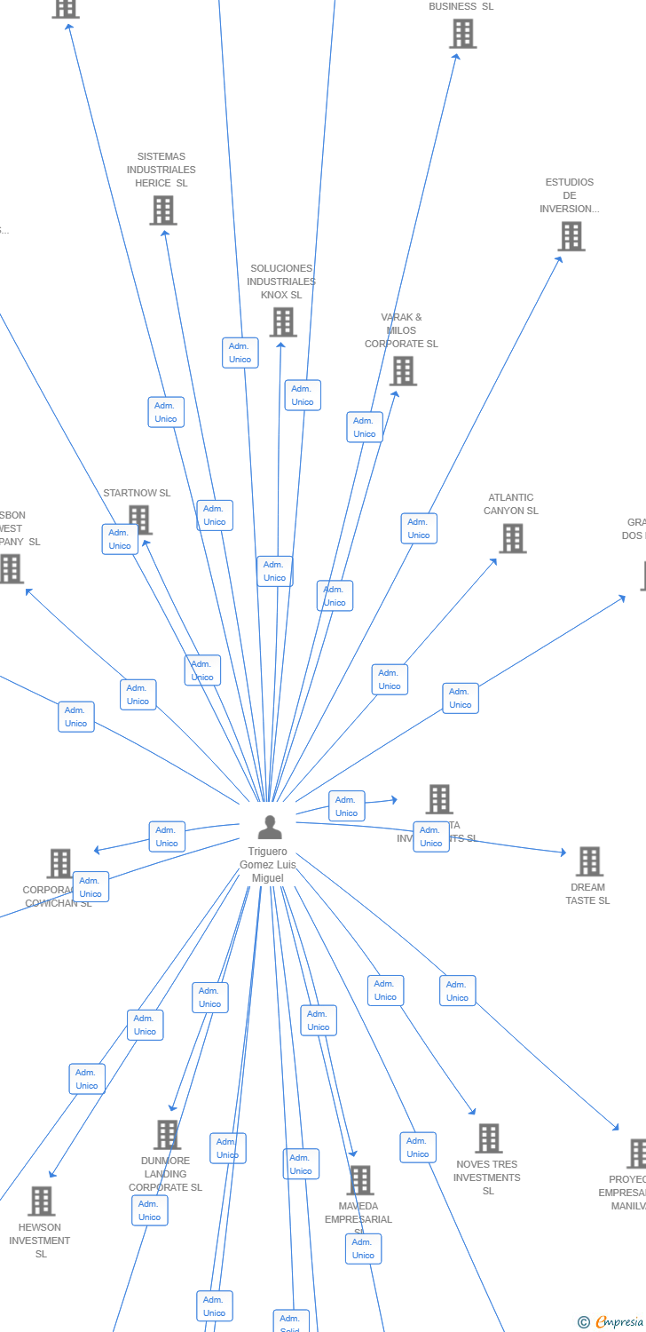 Vinculaciones societarias de VOLTERRA DIGITAL SYSTEMS SL