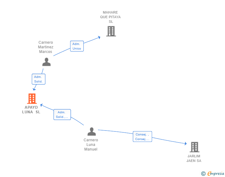 Vinculaciones societarias de APAYD LUNA SL