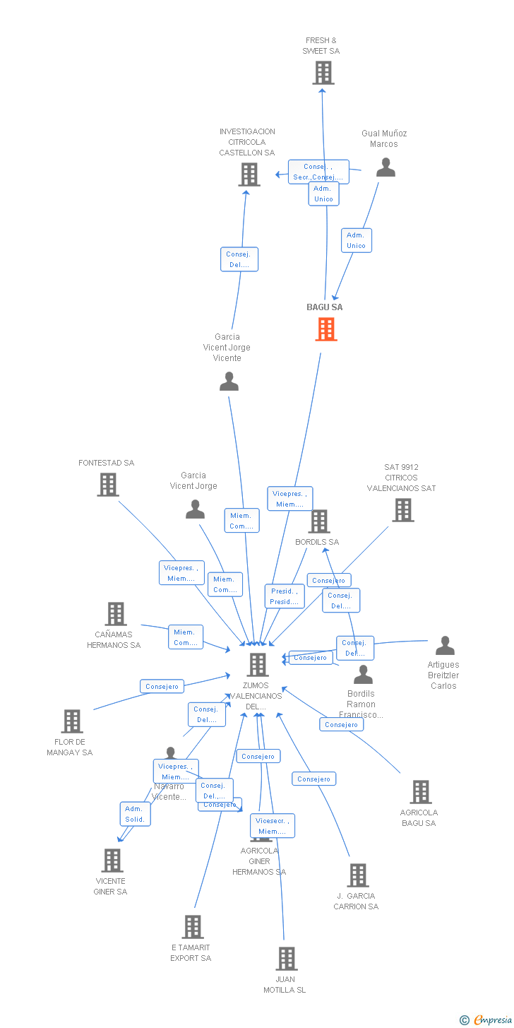 Vinculaciones societarias de BAGU SA