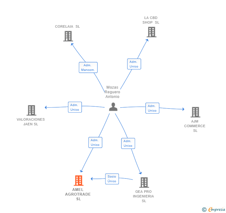 Vinculaciones societarias de AMEL AGROTRADE SL
