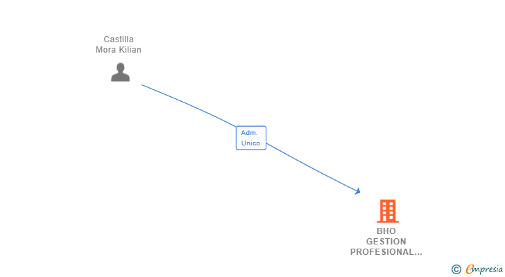 Vinculaciones societarias de BHO GESTION PROFESIONAL SL