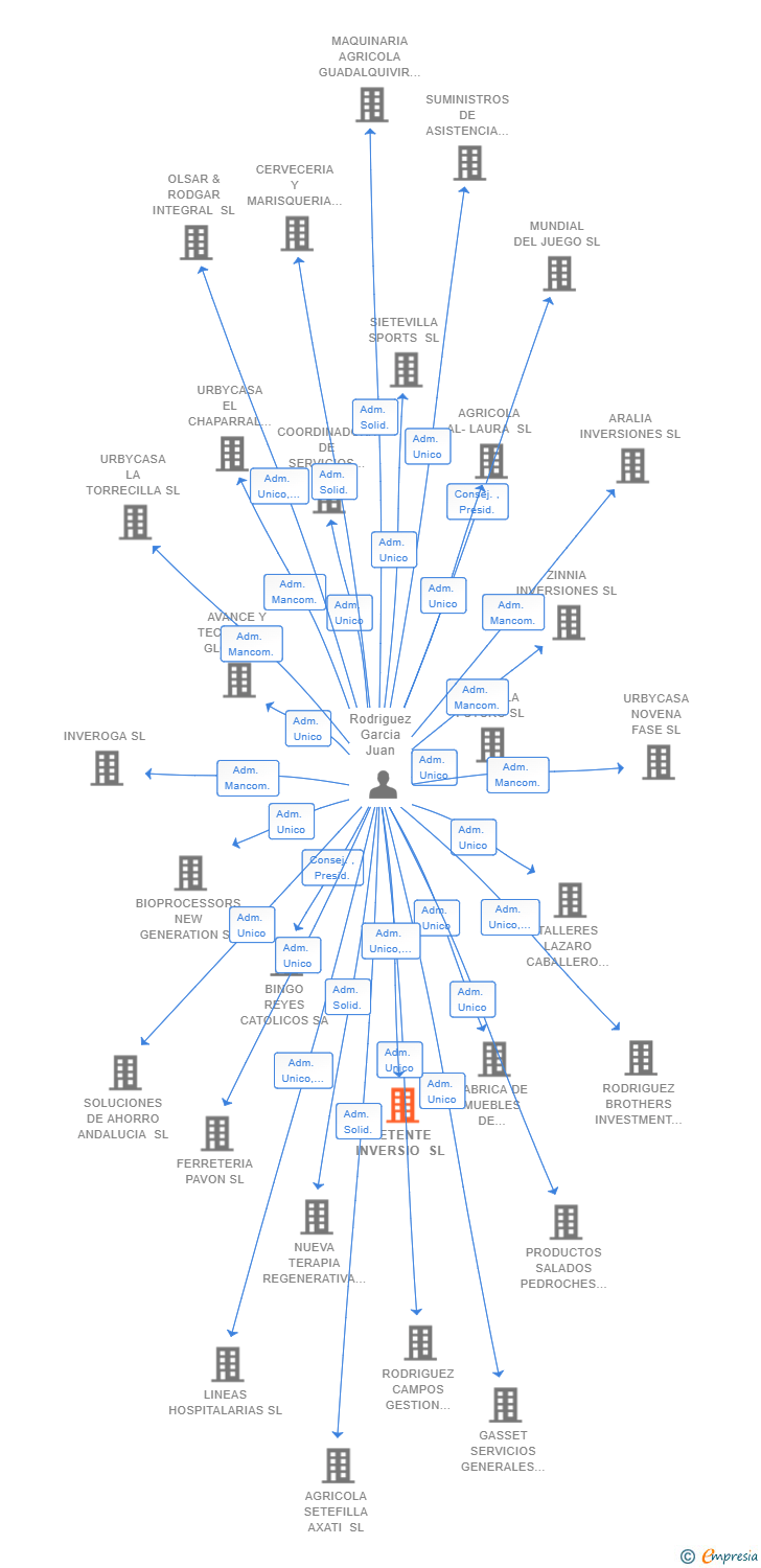 Vinculaciones societarias de DETENTE INVERSIO SL