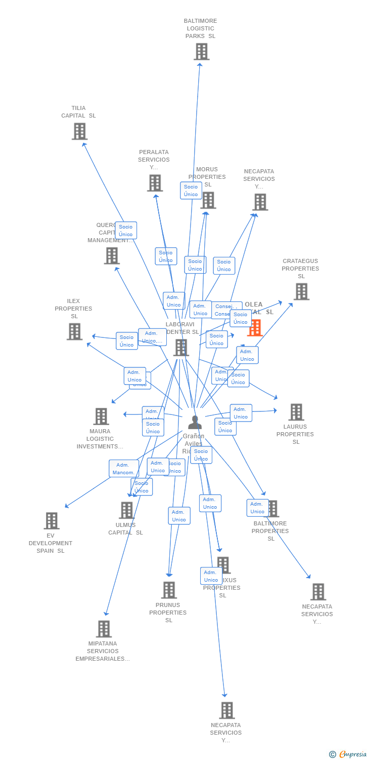 Vinculaciones societarias de OLEA CAPITAL SL