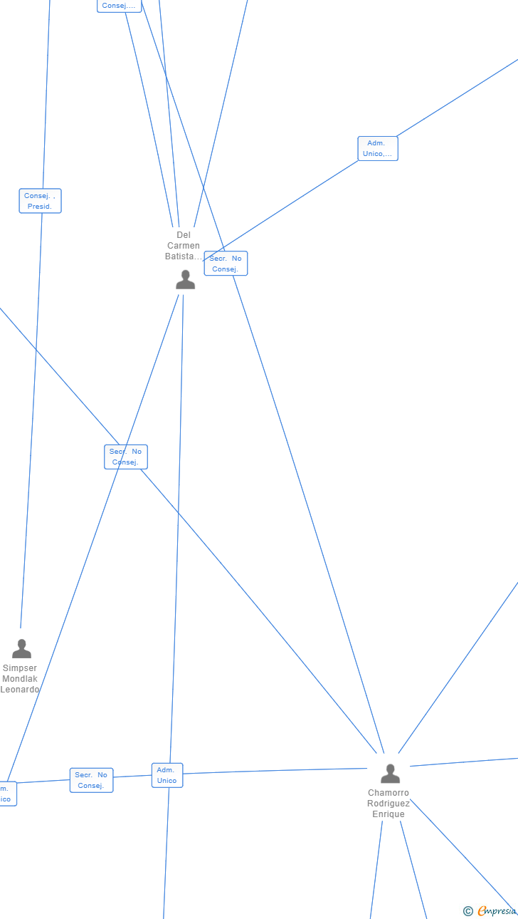Vinculaciones societarias de D ELLA INVESTMENT LAS TERRENAS SL