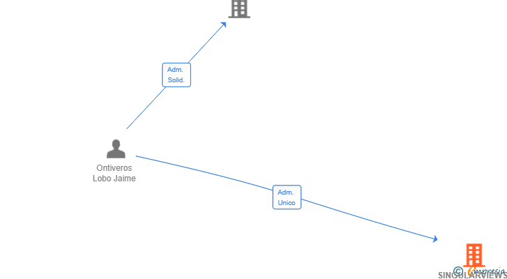 Vinculaciones societarias de SINGULARVIEWS BI SL