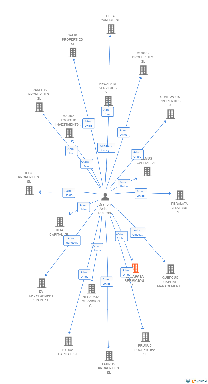 Vinculaciones societarias de NECAPATA SERVICIOS Y GESTIONES 3 SL