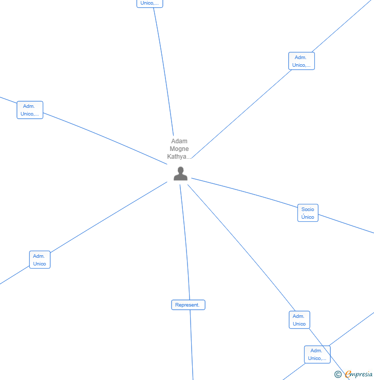 Vinculaciones societarias de LAWYER AND PARTNERS SL