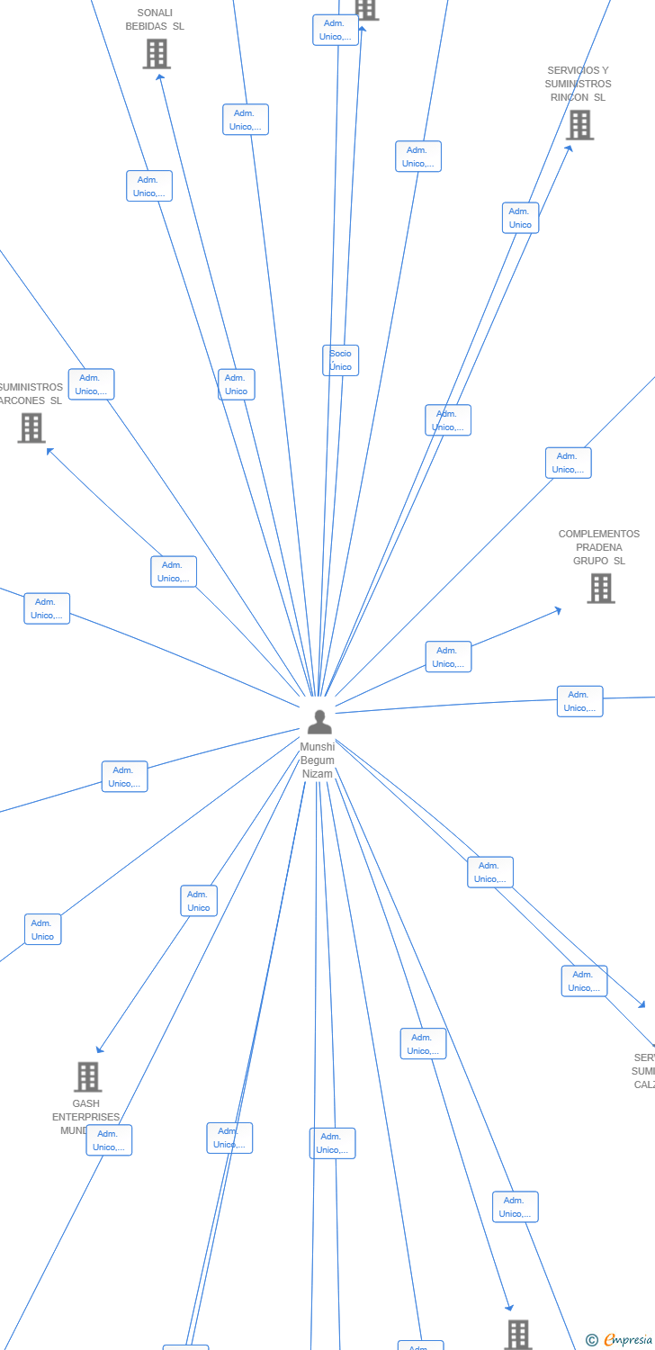 Vinculaciones societarias de SERVICIOS Y SUMINISTROS BOROX SL