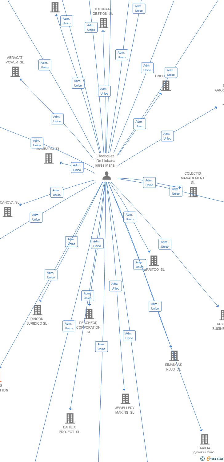 Vinculaciones societarias de RILILIS CONNECTION SL