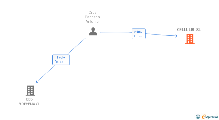 Vinculaciones societarias de CELLULIS SL