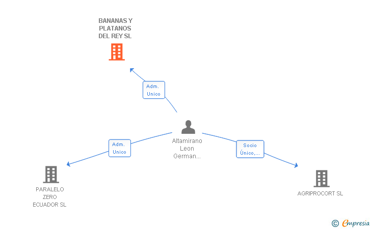 Vinculaciones societarias de BANANAS Y PLATANOS DEL REY SL