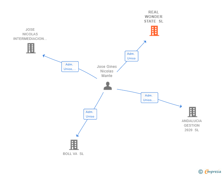 Vinculaciones societarias de REAL WONDER STATE SL