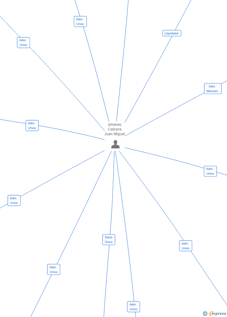 Vinculaciones societarias de LIRIS-TRADE SL