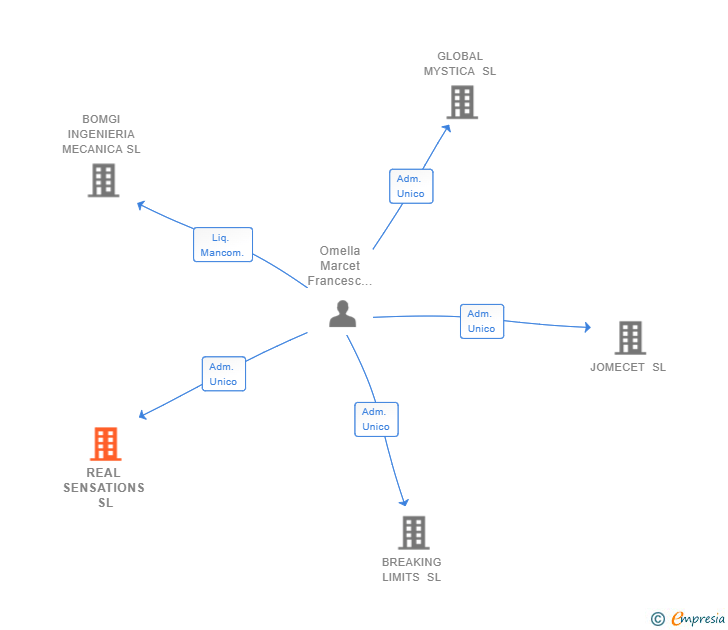 Vinculaciones societarias de REAL SENSATIONS SL