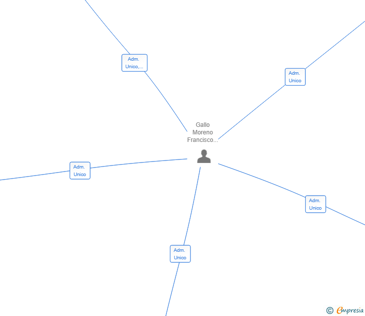 Vinculaciones societarias de SERFRA MULTISERVICIOS SL