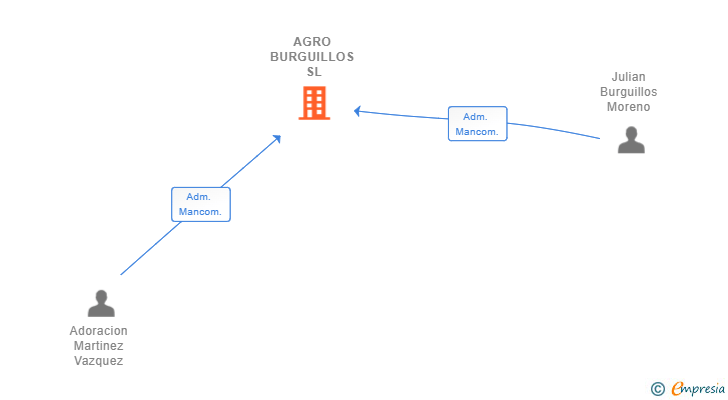 Vinculaciones societarias de AGRO BURGUILLOS SL