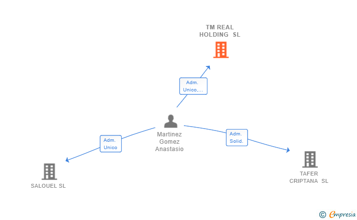 Vinculaciones societarias de TM REAL HOLDING SL