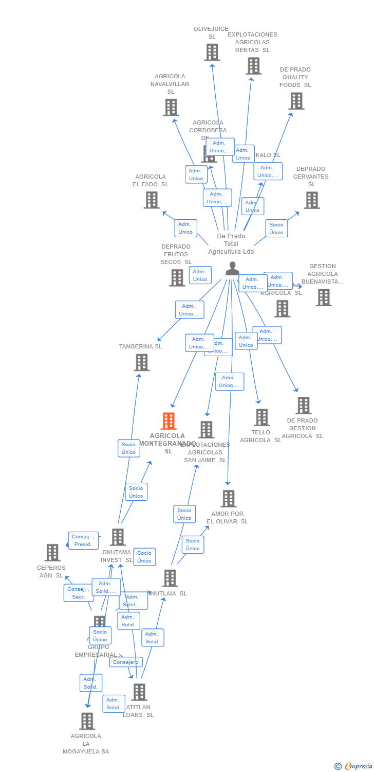 Vinculaciones societarias de AGRICOLA MONTEGRANADO SL