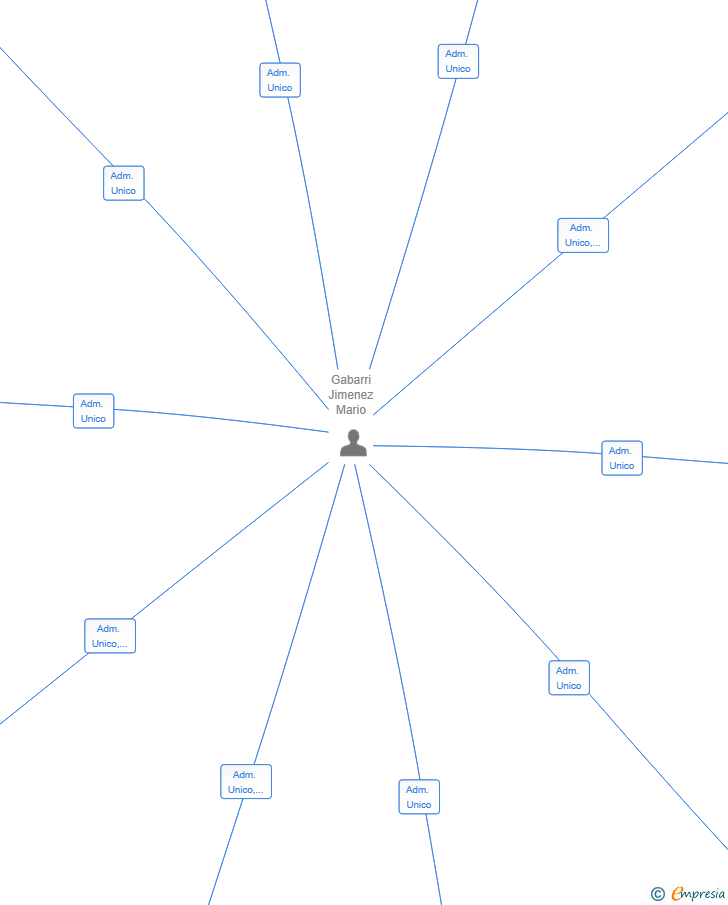 Vinculaciones societarias de GOVIN 2000 SL