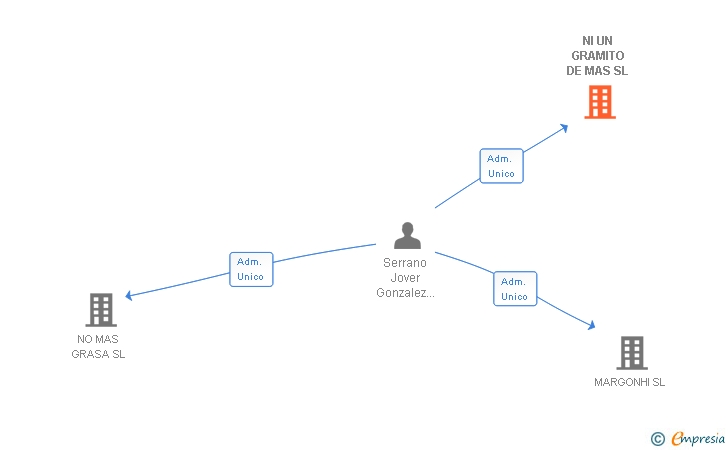 Vinculaciones societarias de NI UN GRAMITO DE MAS SL
