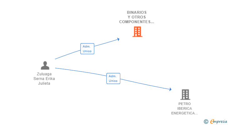 Vinculaciones societarias de BINARIOS Y OTROS COMPONENTES SL