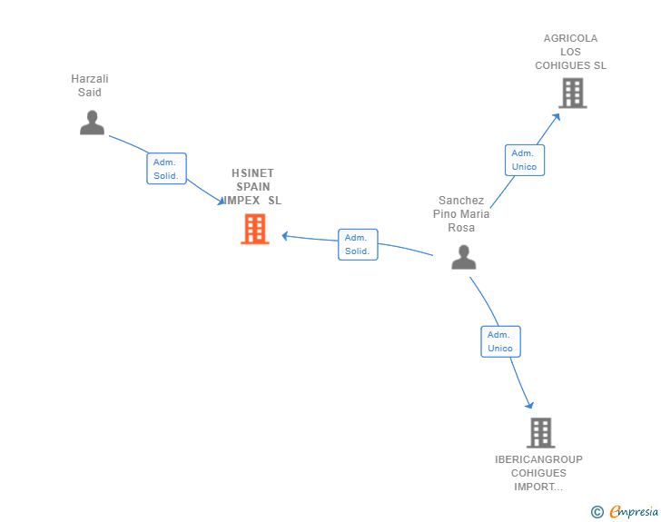 Vinculaciones societarias de HSINET SPAIN IMPEX SL