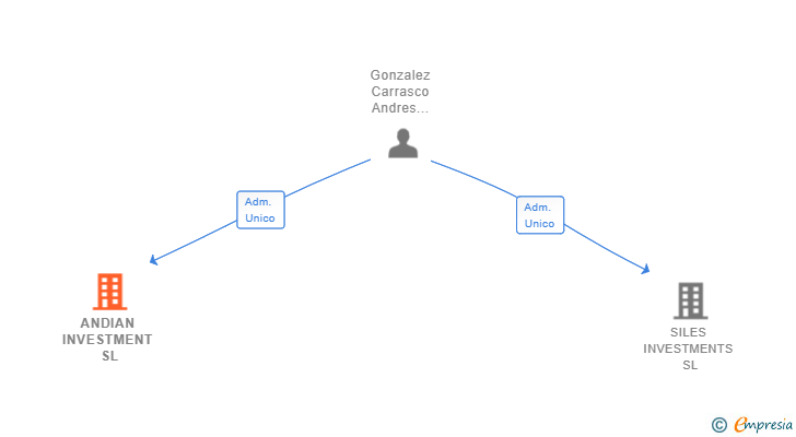 Vinculaciones societarias de ANDIAN INVESTMENT SL