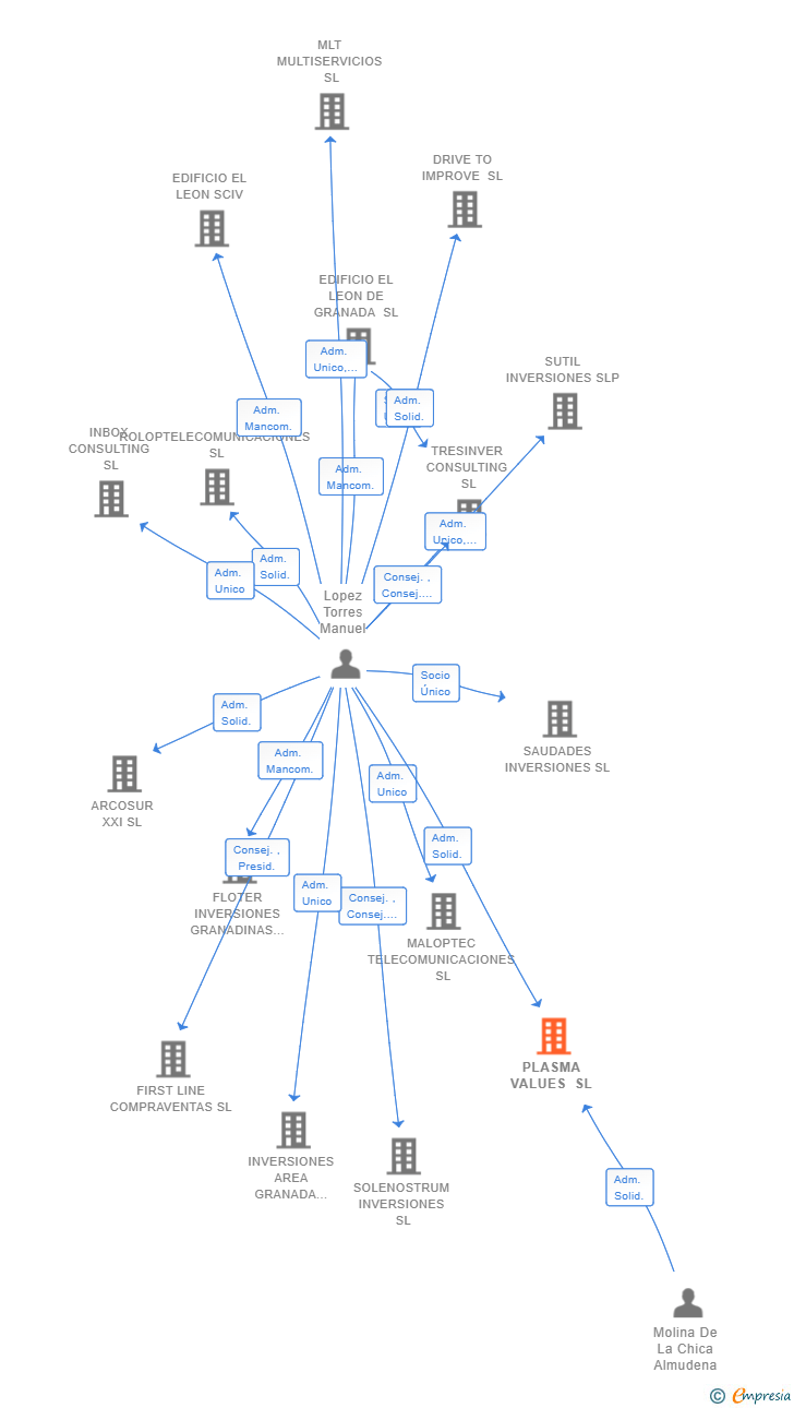 Vinculaciones societarias de PLASMA VALUES SL