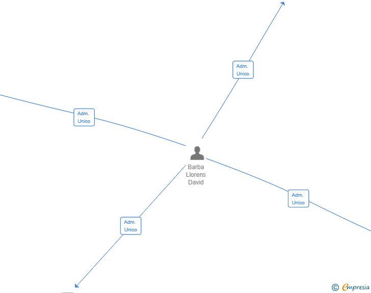 Vinculaciones societarias de BLAUDISSMANT SOLUTIONS SL